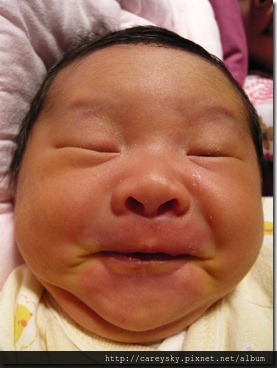 20081206-6 20081206-6