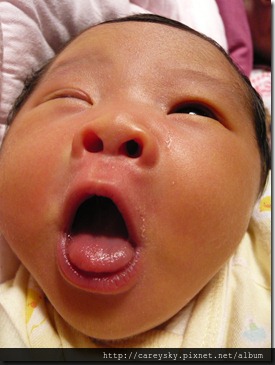 20081206-9 20081206-9