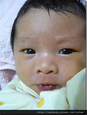 20081210-2 20081210-2