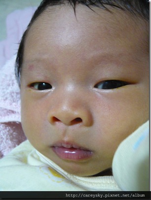 20081210-3 20081210-3