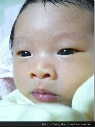 20081210-4 20081210-4