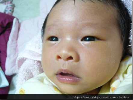 20081210-5 20081210-5