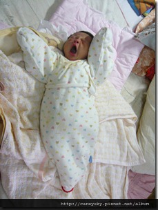 20081210-8 20081210-8