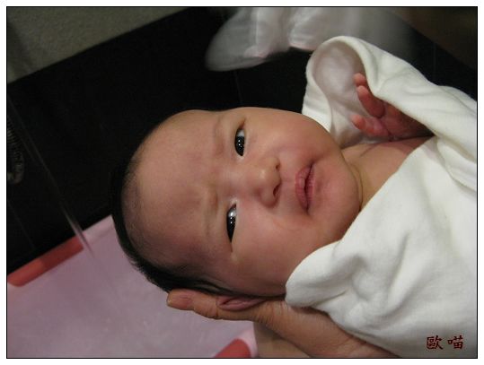 小妞第30天-10洗澡.jpg 小妞第30天-10洗澡.jpg