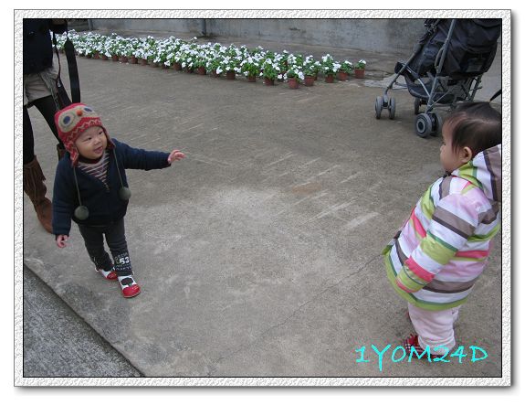 1Y0M24D-002.jpg 1Y0M24D-002.jpg