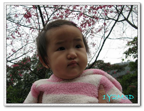 1Y2M03D東北角-04.jpg 1Y2M03D東北角-04.jpg
