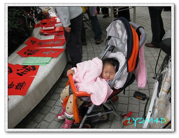 1Y2M04D-05.jpg 1Y2M04D-05.jpg