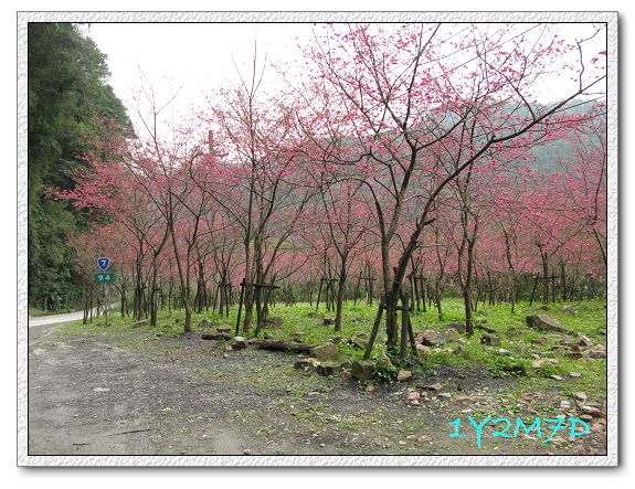 1Y2M07D明池-06.jpg 1Y2M07D明池-06.jpg