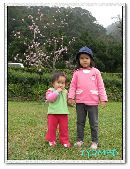 1Y2M07D棲蘭-002.jpg 1Y2M07D棲蘭-002.jpg
