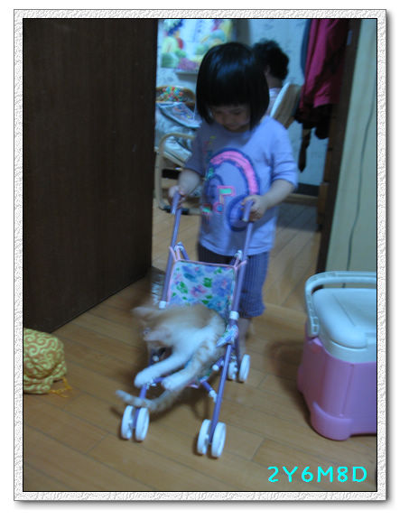 2Y06M08D-推小橘01.jpg 2Y06M08D-推小橘01.jpg