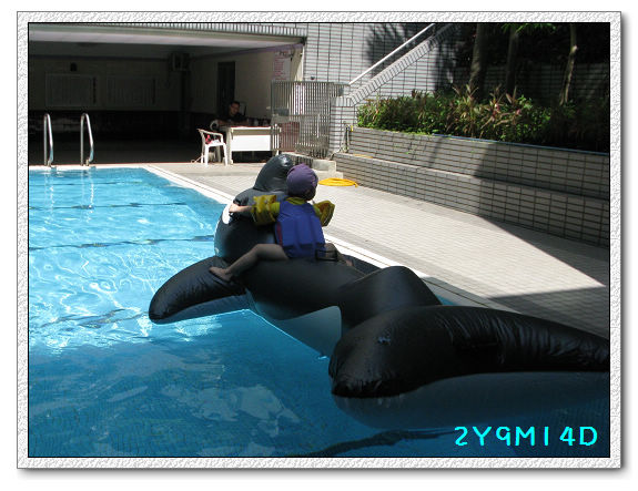 2Y09M14D-大鯨魚01.jpg 2Y09M14D-大鯨魚01.jpg