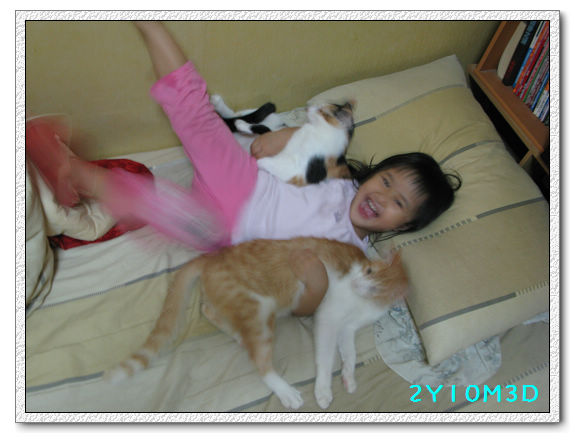 2Y10M03D-小花小橘06 2Y10M03D-小花小橘06