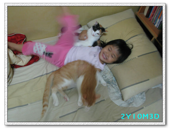 2Y10M03D-小花小橘08 2Y10M03D-小花小橘08
