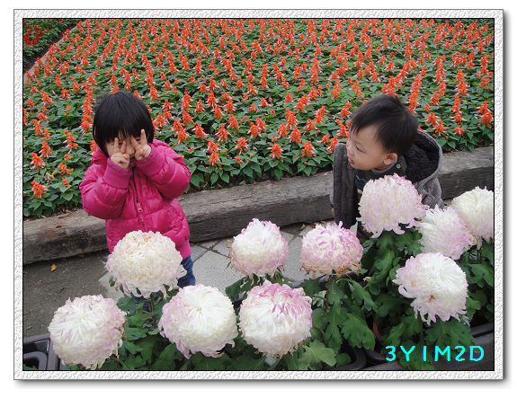 3Y01M02D-兒童樂園06 3Y01M02D-兒童樂園06