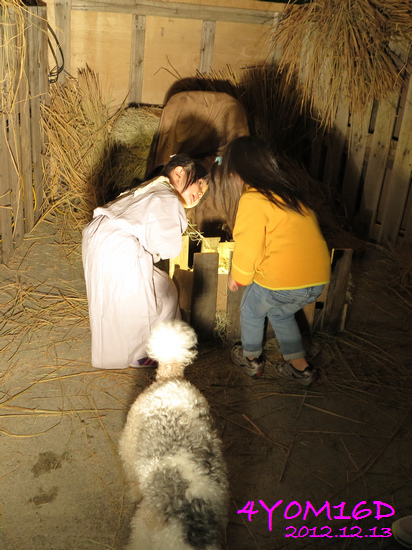 4Y00M16D-京華城聖誕趴01.jpg 4Y00M16D-京華城聖誕趴01.jpg