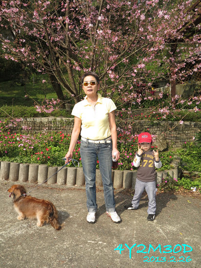 4Y02M30D-石碇賞櫻01.jpg 4Y02M30D-石碇賞櫻01.jpg