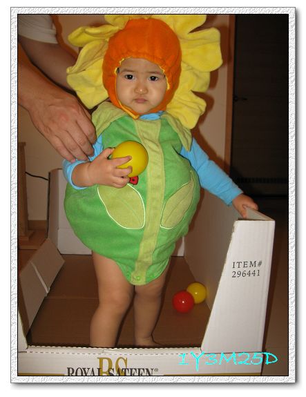 1Y3M25D-01.jpg 1Y3M25D-01.jpg