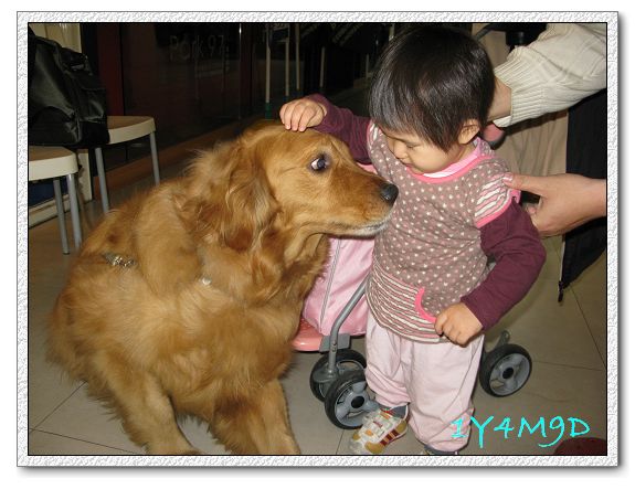 1Y4M09D-01.jpg 1Y4M09D-01.jpg