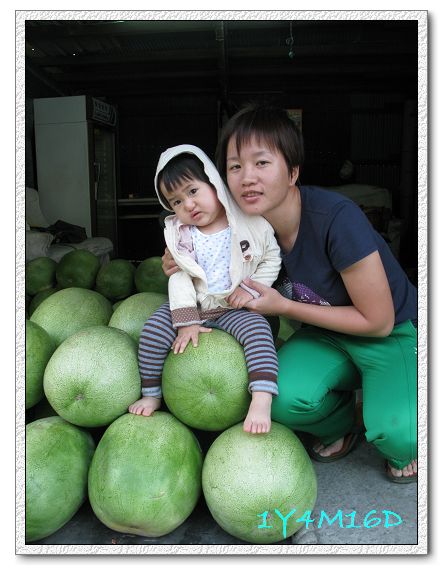 1Y4M16D西瓜-01.jpg 1Y4M16D西瓜-01.jpg