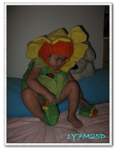 1Y7M25D-01.jpg 1Y7M25D-01.jpg