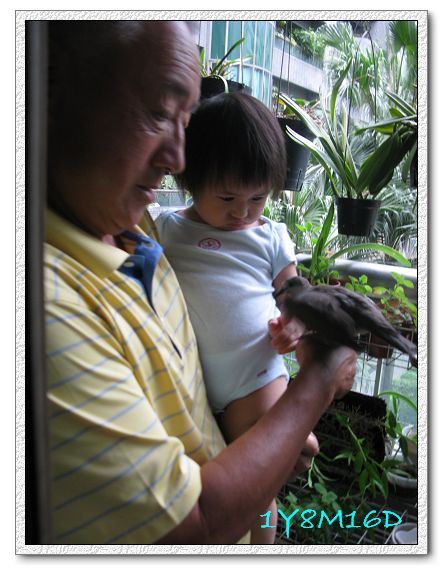 1Y8M16D-01.jpg 1Y8M16D-01.jpg