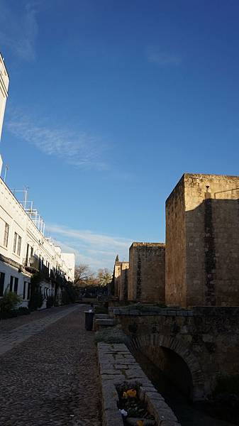 batch_DSC03797.jpg