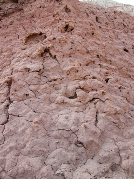 batch_P9170559.jpg