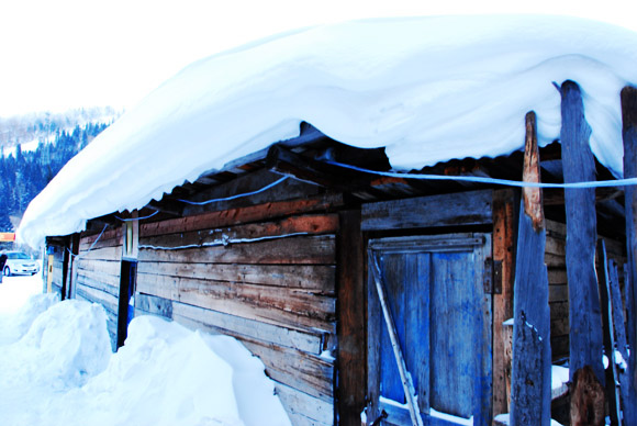 DSC_1950.jpg