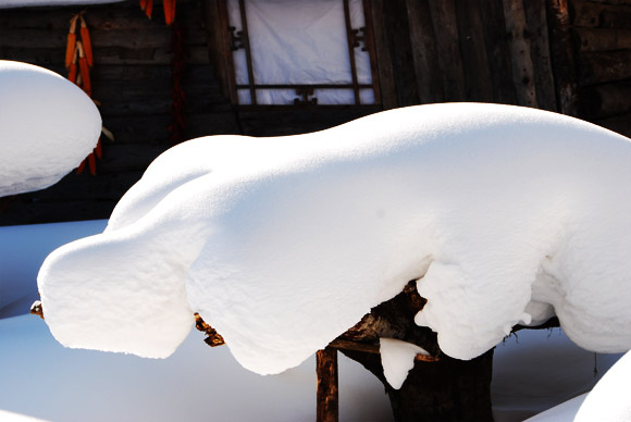 DSC_2178.jpg