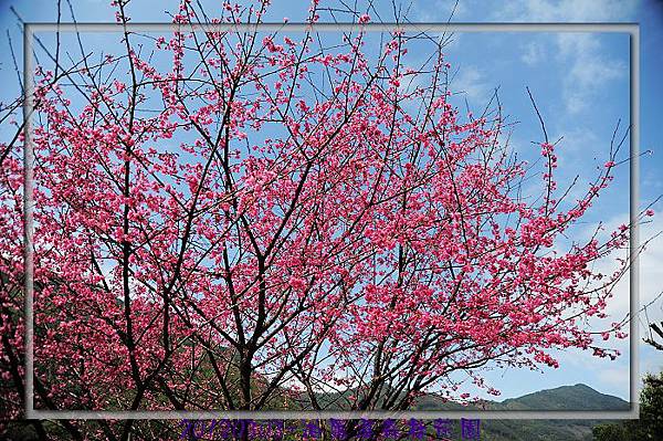 DSC_6480_nEO_IMG