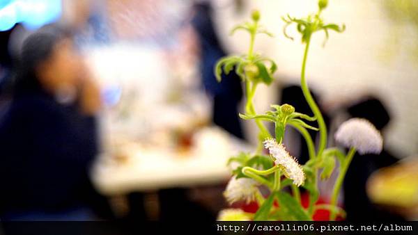 【食記】HANA CAFE 。可愛鄉村風