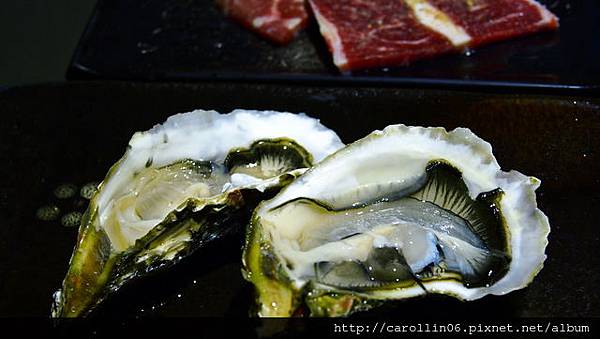 【食記】燒肉吃到飽《櫻花羿日式炭火燒肉》東區新開幕-櫻花羿