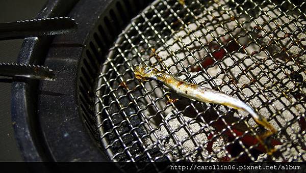 【食記】燒肉吃到飽《櫻花羿日式炭火燒肉》東區新開幕-櫻花羿 【食記】燒肉吃到飽《櫻花羿日式炭火燒肉》東區新開幕-櫻花羿