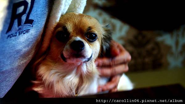 【食記】就是要你賓至如歸《小公寓》