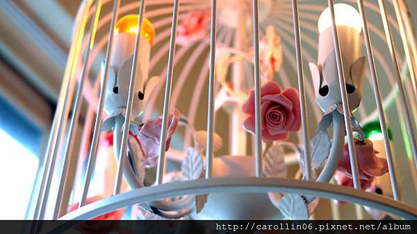 【食記】基隆。《貓小路cafe》繽紛貓主題-貓小路 【食記】基隆。《貓小路cafe》繽紛貓主題-貓小路