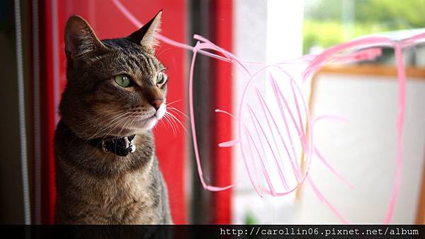 【飲記】台中。《貓●旅行咖啡輕食館 》-貓●旅行咖啡輕食館 【飲記】台中。《貓●旅行咖啡輕食館 》-貓●旅行咖啡輕食館