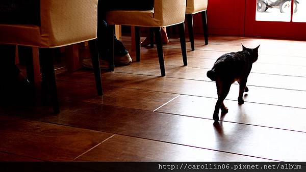【飲記】台中。《貓●旅行咖啡輕食館 》-貓●旅行咖啡輕食館 【飲記】台中。《貓●旅行咖啡輕食館 》-貓●旅行咖啡輕食館