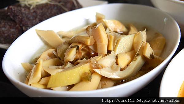 【隨興食記】《鵝肉世家》這帶的鵝肉店真多-鵝肉世家 【隨興食記】《鵝肉世家》這帶的鵝肉店真多-鵝肉世家