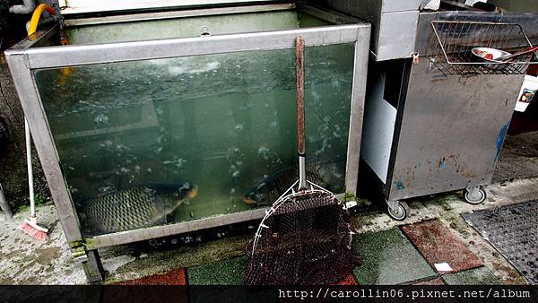 【美食】台北。大安區《黃河蜀魚館》年年有魚 從小吃到大的老店-黃河蜀魚館 【美食】台北。大安區《黃河蜀魚館》年年有魚 從小吃到大的老店-黃河蜀魚館