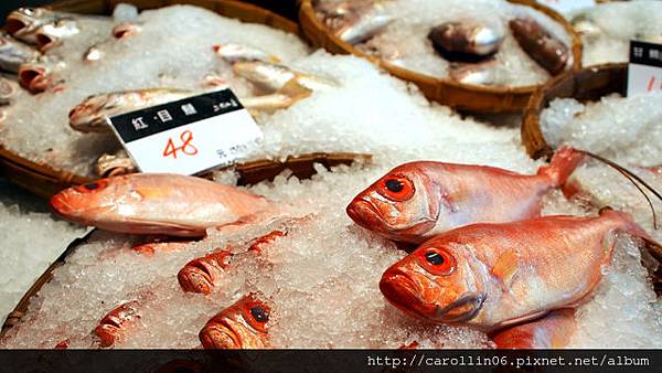 【食記】三井集團《上引水產》尚青尚便宜-上引水產 【食記】三井集團《上引水產》尚青尚便宜-上引水產