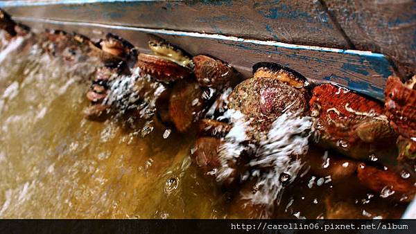 【食記】三井集團《上引水產》尚青尚便宜-上引水產 【食記】三井集團《上引水產》尚青尚便宜-上引水產