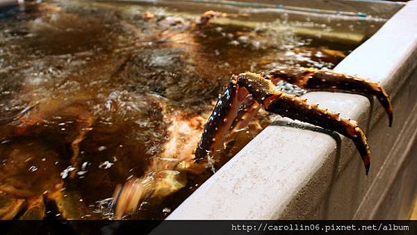 【食記】三井集團《上引水產》尚青尚便宜-上引水產 【食記】三井集團《上引水產》尚青尚便宜-上引水產