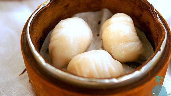 【隨興食記】《天星港式飲茶》京星餐飲事業旗下之一-天星港式飲茶 【隨興食記】《天星港式飲茶》京星餐飲事業旗下之一-天星港式飲茶