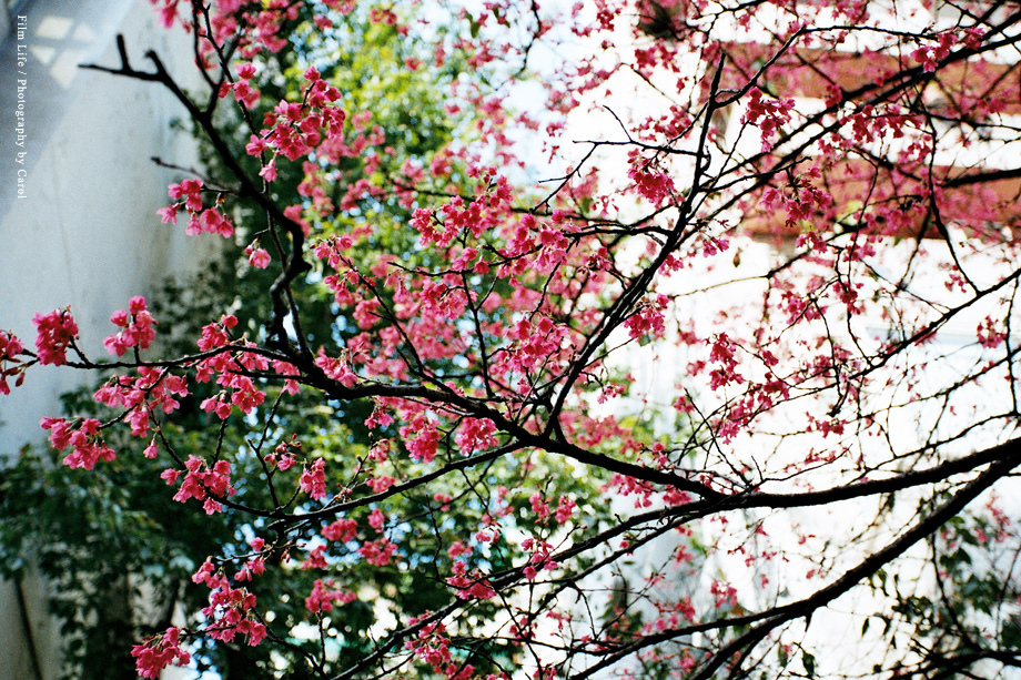 Negative0-17-20(1).jpg Negative0-17-20(1).jpg