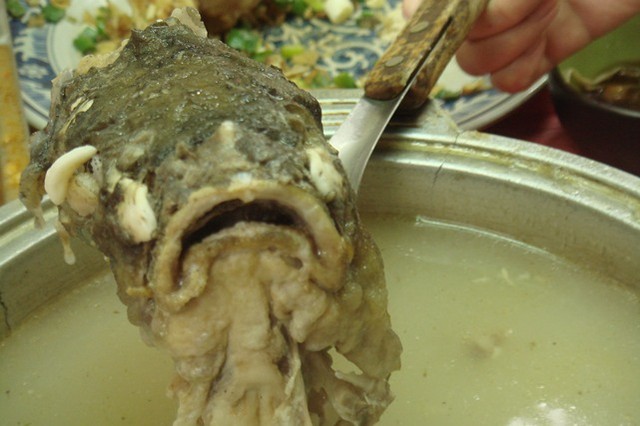 挑戰10斤魚妖~黃河蜀魚館 挑戰10斤魚妖~黃河蜀魚館