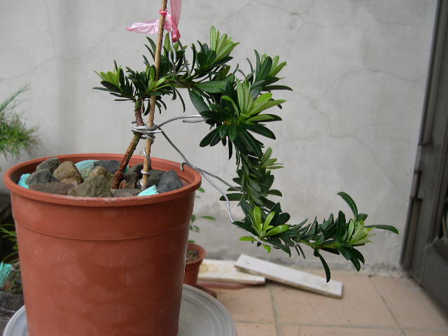 20140420 20140420