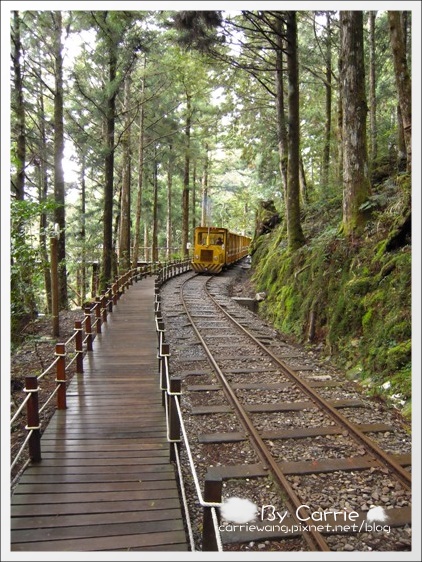 宜蘭.太平山之美 宜蘭.太平山之美