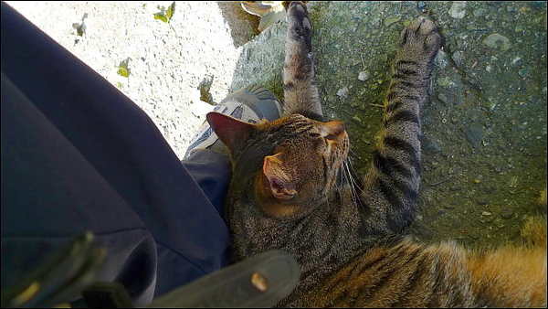 P1030820.JPG P1030820.JPG