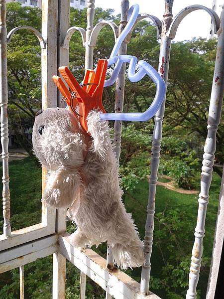 2013-12-15 09.58.42 2013-12-15 09.58.42