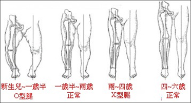 未命名-1